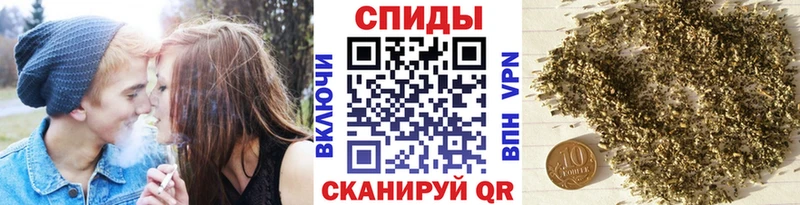 блэк спрут ссылки Данков БУТИРАТ BDO 33%