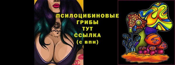 амфетамин Гусь-Хрустальный