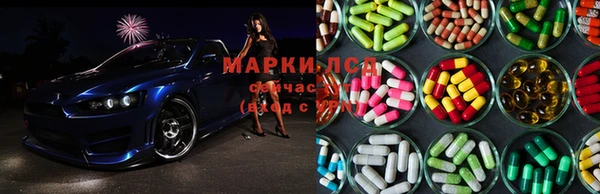 индика Бутурлиновка